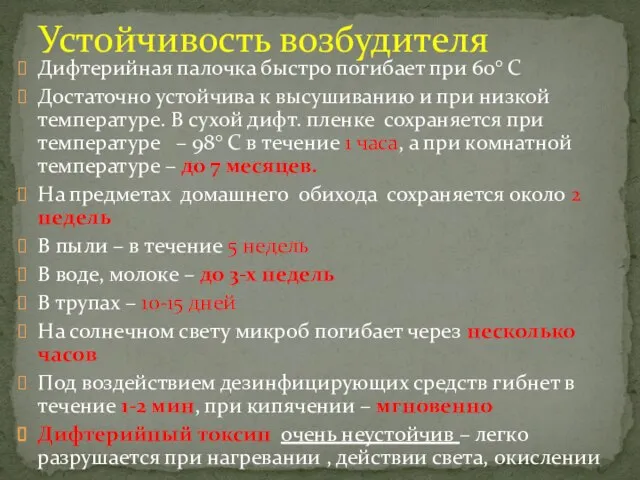 Дифтерийная палочка быстро погибает при 60° С Достаточно устойчива к высушиванию и