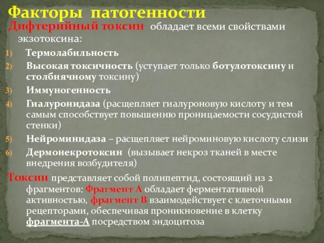 Дифтерийный токсин обладает всеми свойствами экзотоксина: Термолабильность Высокая токсичность (уступает только ботулотоксину