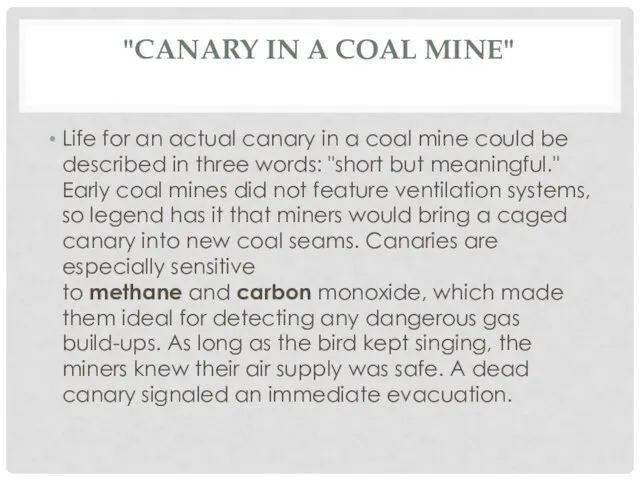 "CANARY IN A COAL MINE" Life for an actual canary in a