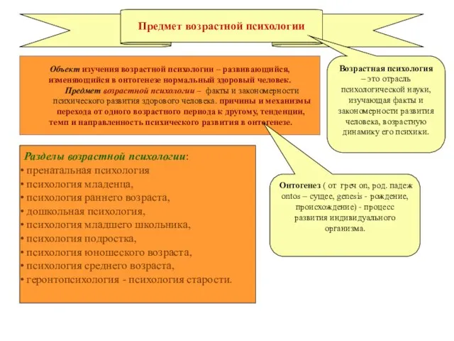 Предмет возрастной психологии Объект изучения возрастной психологии – развивающийся, изменяющийся в онтогенезе