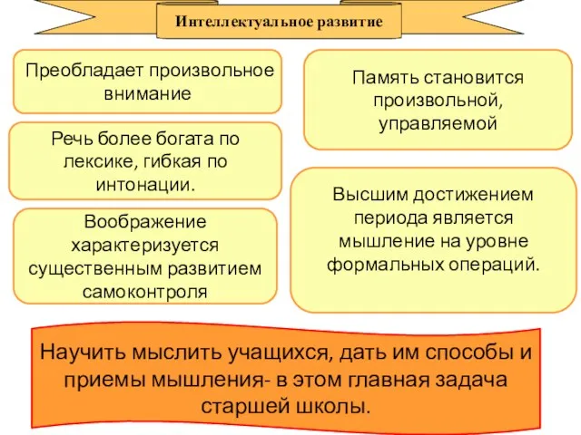 Преобладает произвольное внимание Память становится произвольной, управляемой Речь более богата по лексике,