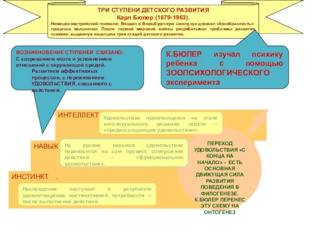 ТРИ СТУПЕНИ ДЕТСКОГО РАЗВИТИЯ Карл Бюлер (1879-1963). Немецко-австрийский психолог. Входил в Вюрцбургскую