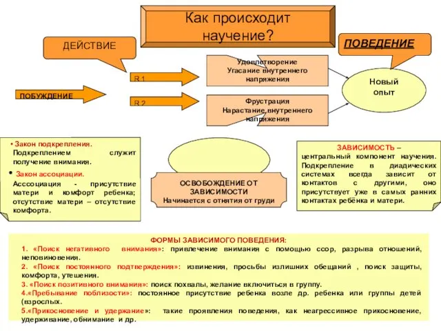 ДЕЙСТВИЕ ПОБУЖДЕНИЕ R 1 R 2 Удовлетворение Угасание внутреннего напряжения Фрустрация Нарастание