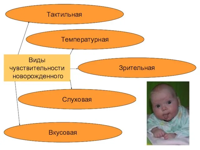 Виды чувствительности новорожденного Тактильная Зрительная Вкусовая Слуховая Температурная