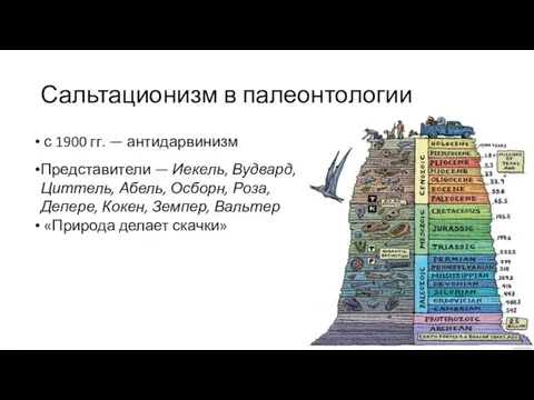 Сальтационизм в палеонтологии с 1900 гг. — антидарвинизм Представители — Иекель, Вудвард,