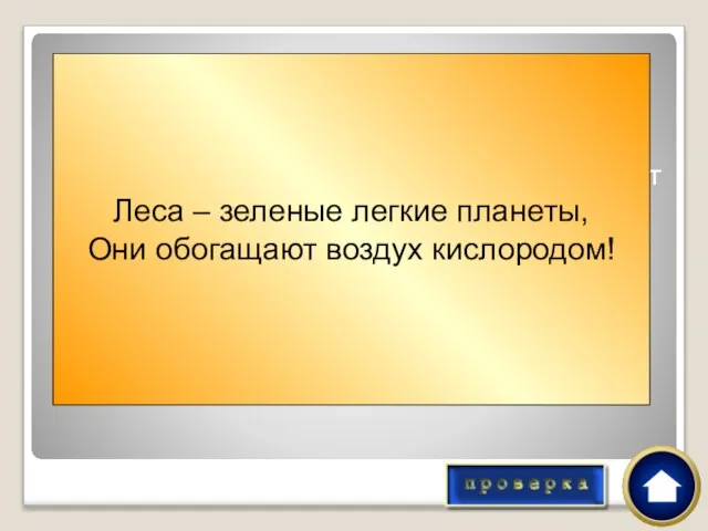 Каждую секунду с лица планеты исчезает лес размером с футбольное поле. Почему