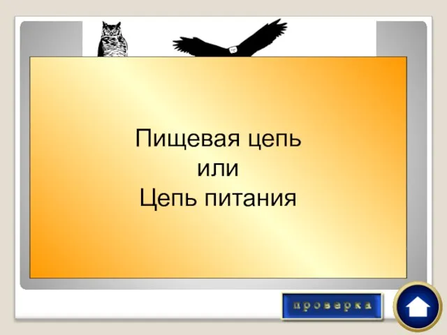 Как экологи назвали бы этот рисунок? Пищевая цепь или Цепь питания