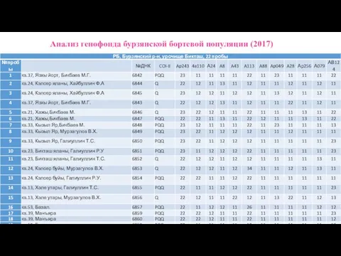 Анализ генофонда бурзянской бортевой популяции (2017)