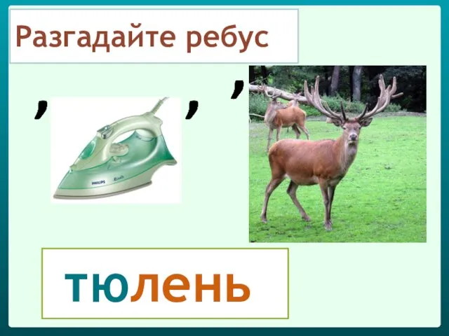 Разгадайте ребус тюлень