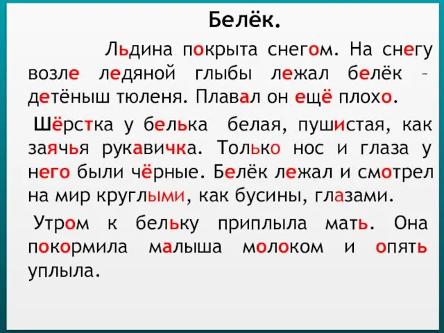 Белёк. Льдина покрыта снегом. На снегу возле ледяной глыбы лежал белёк –