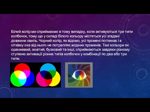 Білий колір ми сприймаємо в тому випадку, коли активуються три типи колбочок,