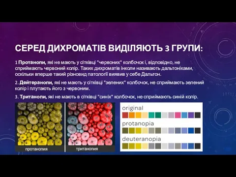 СЕРЕД ДИХРОМАТІВ ВИДІЛЯЮТЬ 3 ГРУПИ: 1 Протанопи, які не мають у сітківці