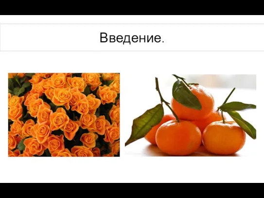 Введение.