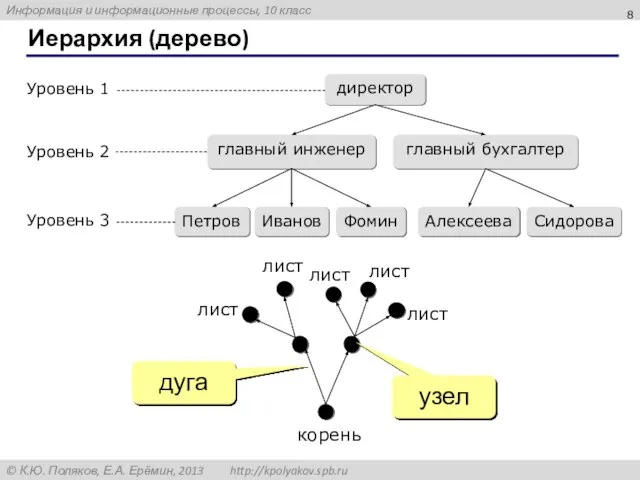 Иерархия (дерево) узел дуга