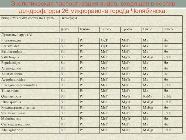 Экологическая паспортизация видов, входящая в состав дендрофлоры 26 микрорайона города Челябинска.