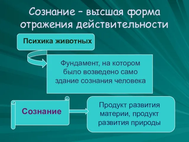 Сознание – высшая форма отражения действительности Психика животных Фундамент, на котором было