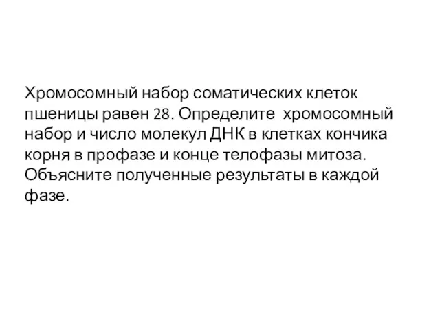 Хромосомный набор соматических клеток пшеницы равен 28. Определите хромосомный набор и число