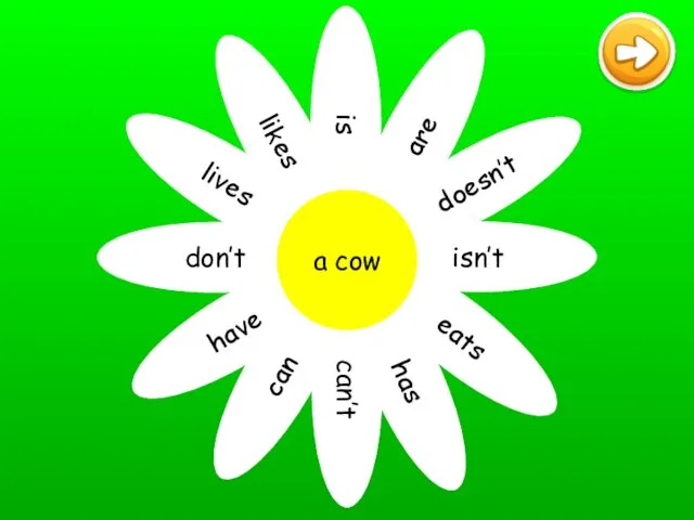 is are doesn’t isn’t eats has can’t can have don’t lives likes a cow