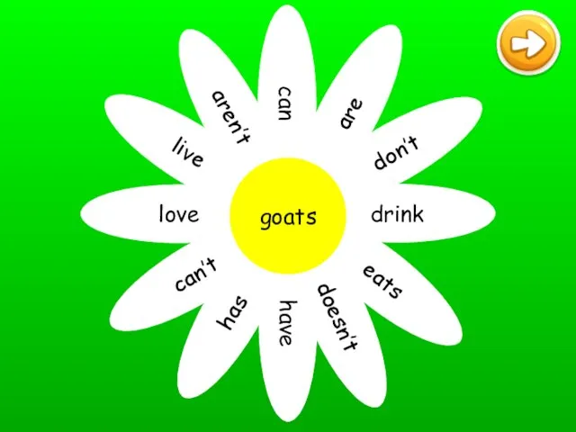 can are don’t drink eats doesn’t have has can’t love live aren’t goats