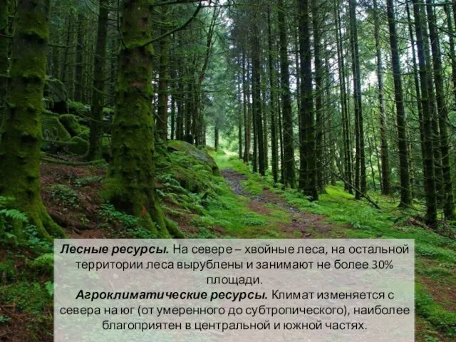 Лесные ресурсы. На севере – хвойные леса, на остальной территории леса вырублены