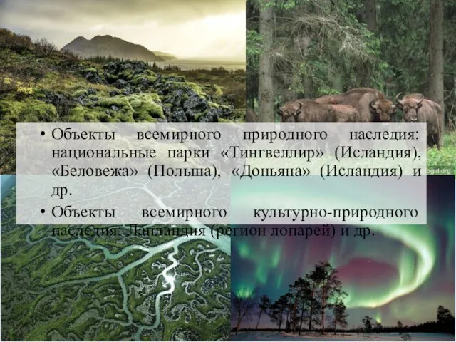 Объекты всемирного природного наследия: национальные парки «Тингвеллир» (Исландия), «Беловежа» (Польша), «Доньяна» (Исландия)