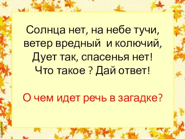 Солнца нет, на небе тучи, ветер вредный и колючий, Дует так, спасенья