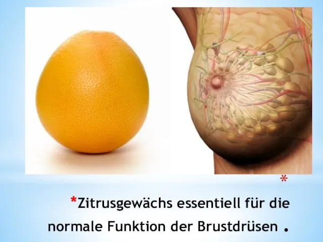 *Zitrusgewächs essentiell für die normale Funktion der Brustdrüsen .