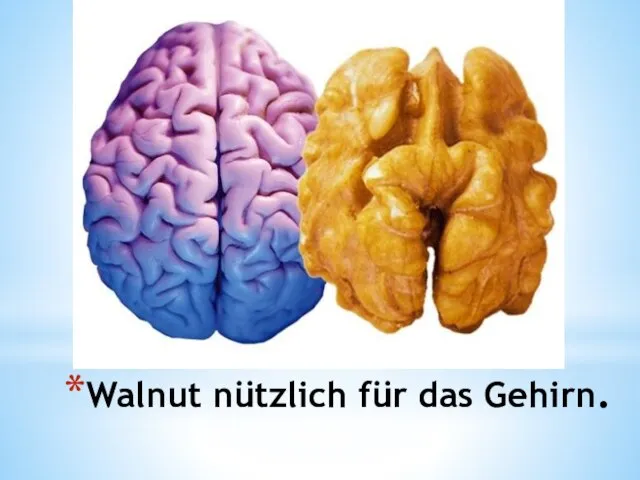 Walnut nützlich für das Gehirn.