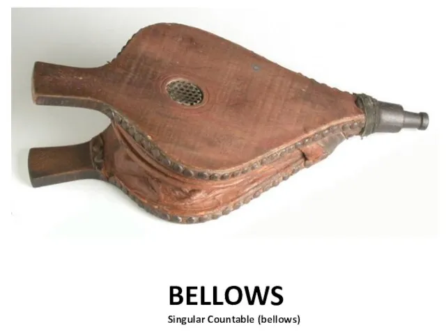 BELLOWS Singular Countable (bellows)