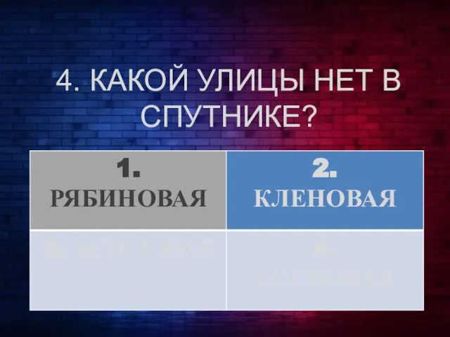 4. КАКОЙ УЛИЦЫ НЕТ В СПУТНИКЕ?