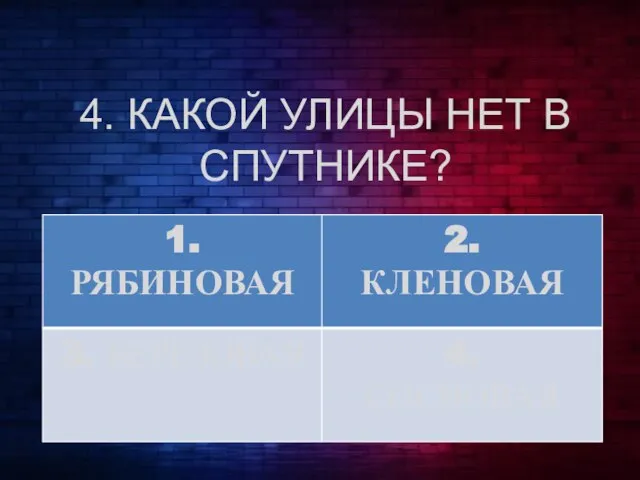 4. КАКОЙ УЛИЦЫ НЕТ В СПУТНИКЕ?