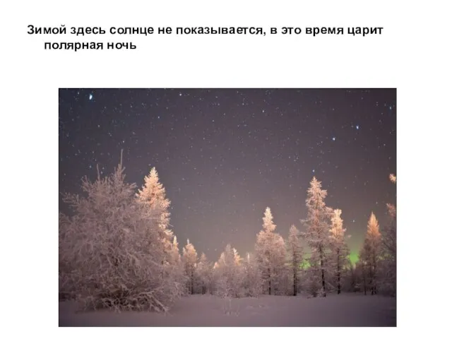 Зимой здесь солнце не показывается, в это время царит полярная ночь