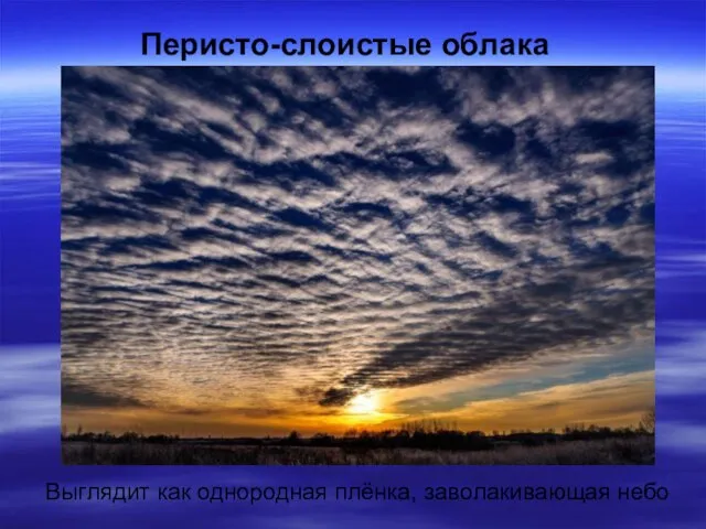 Перисто-слоистые облака Выглядит как однородная плёнка, заволакивающая небо