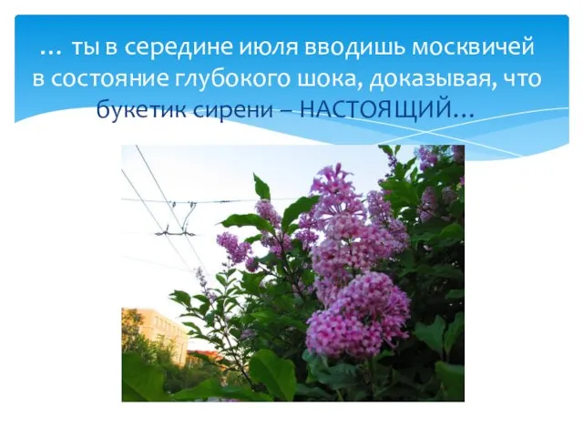 … ты в середине июля вводишь москвичей в состояние глубокого шока, доказывая,