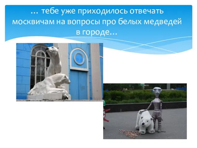 … тебе уже приходилось отвечать москвичам на вопросы про белых медведей в городе…