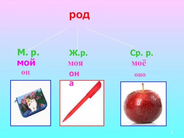 М. р. род Ср. р. Ж.р. мой он моя она моё оно