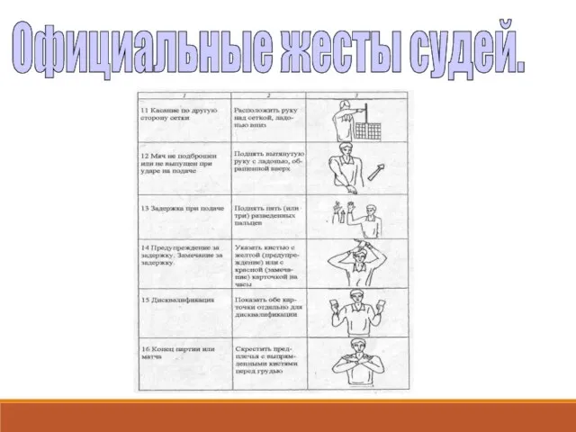 Официальные жесты судей.