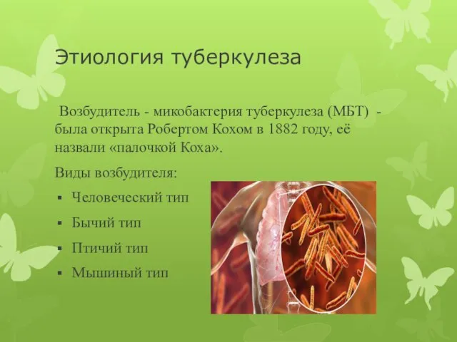 Этиология туберкулеза Возбудитель - микобактерия туберкулеза (МБТ) - была открыта Робертом Кохом