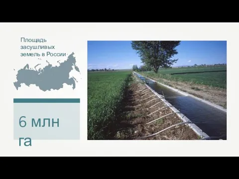 Площадь засушливых земель в России