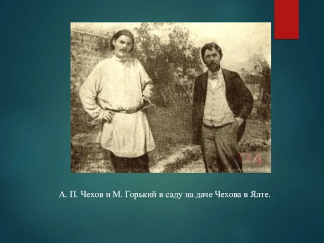 А. П. Чехов и М. Горький в саду на даче Чехова в Ялте.