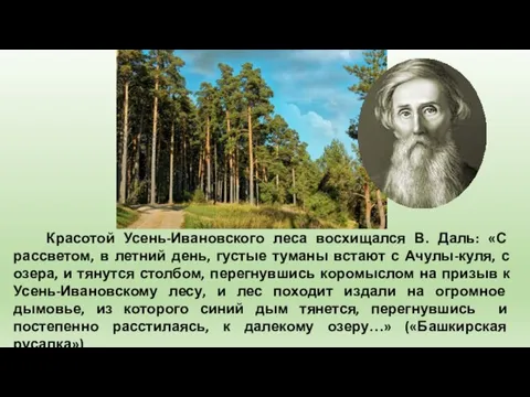 Красотой Усень-Ивановского леса восхищался В. Даль: «С рассветом, в летний день, густые