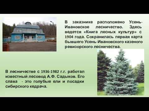 В заказнике расположено Усень-Ивановское лесничество. Здесь ведется «Книга лесных культур» с 1904