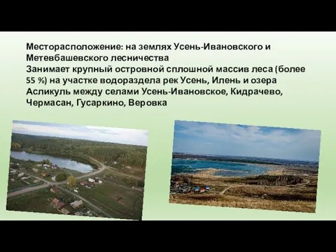 Месторасположение: на землях Усень-Ивановского и Метевбашевского лесничества Занимает крупный островной сплошной массив