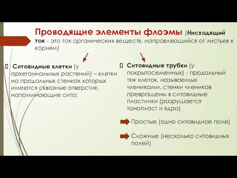 Проводящие элементы флоэмы (Нисходящий ток - это ток органических веществ, направляющийся от