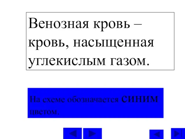 Венозная кровь – кровь, насыщенная углекислым газом. На схеме обозначается синим цветом.