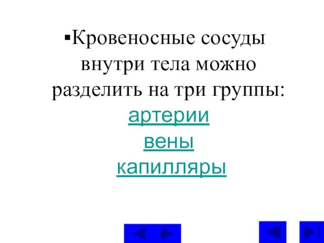 Кровеносные сосуды внутри тела можно разделить на три группы: артерии вены капилляры