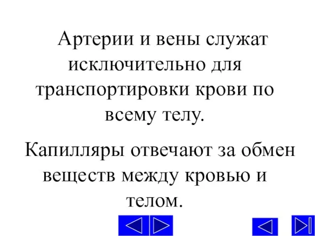 Артерии и вены служат исключительно для транспортировки крови по всему телу. Капилляры