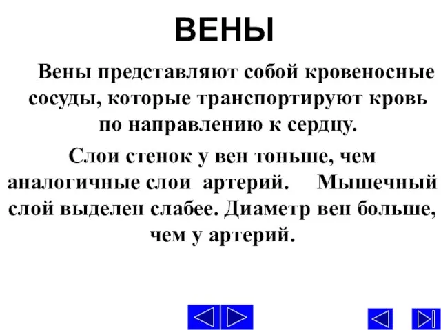 ВЕНЫ Вены представляют собой кровеносные сосуды, которые транспортируют кровь по направлению к