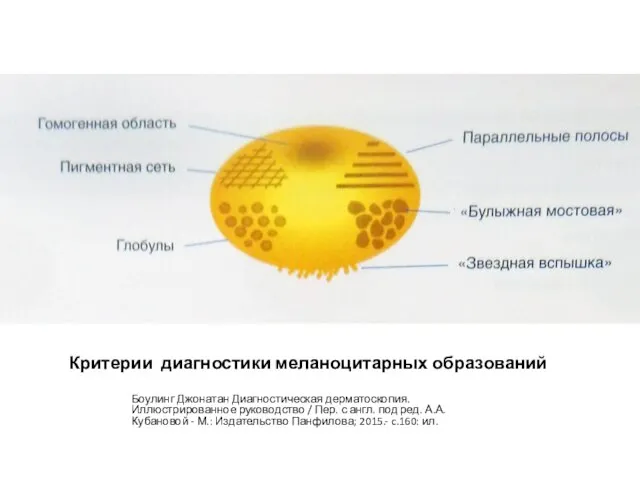 Критерии диагностики меланоцитарных образований Боулинг Джонатан Диагностическая дерматоскопия. Иллюстрированное руководство / Пер.