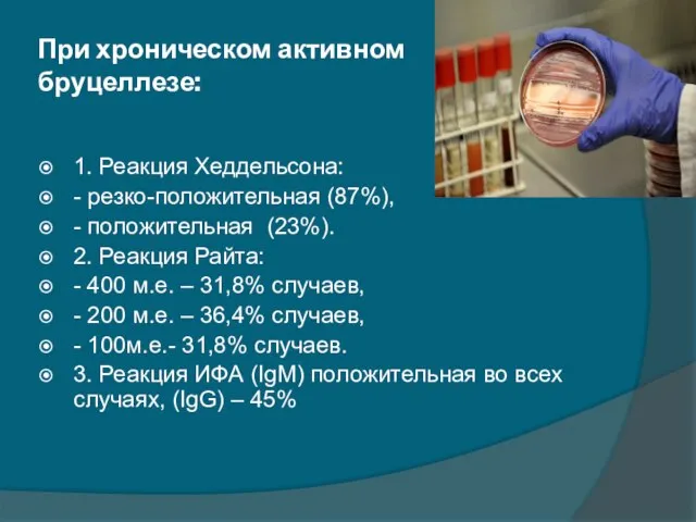 При хроническом активном бруцеллезе: 1. Реакция Хеддельсона: - резко-положительная (87%), - положительная